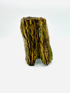 Thick Tree Trunk — licensed designer view 3; supplied unpainted in your chosen colour