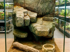 Tiny rock ledges background — original designer photo 1