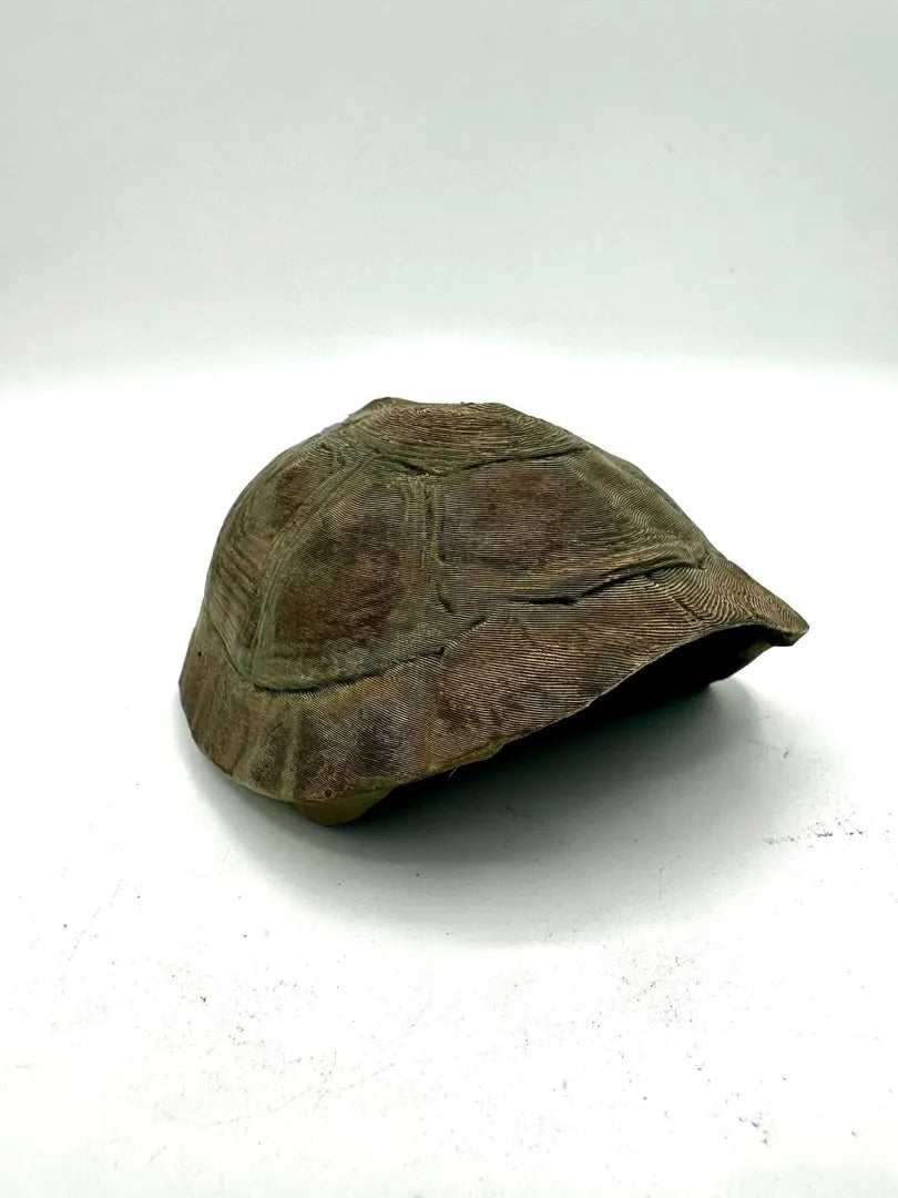 Turtle Shell Hide | Natural Shell-Style Enclosure Shelter Secondary image