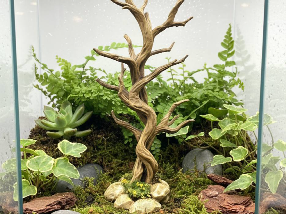 Twisted Forest Climbing Tree — product view
