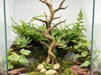 Twisted Forest Climbing Tree — product view