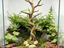 Twisted Forest Climbing Tree — product view