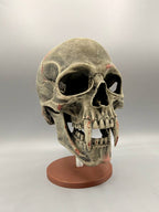 novYTerra Vampire Skull, original gallery image 2