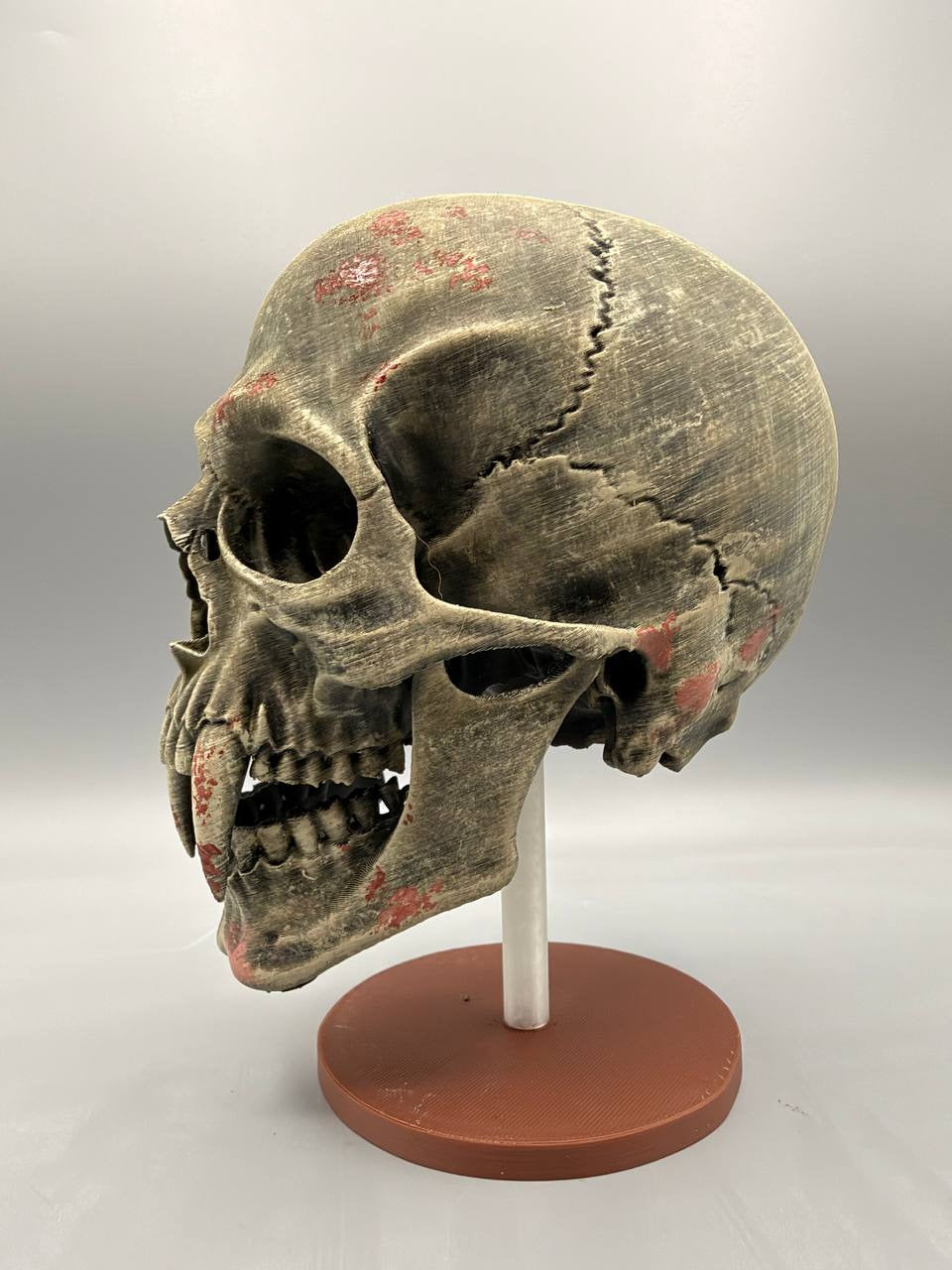 novYTerra Vampire Skull, original gallery image 5