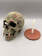 novYTerra Vampire Skull, original gallery image 6