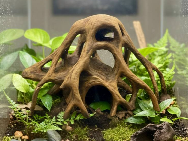 Wide Mangrove Root — licensed source view 1; supplied unpainted in chosen filament colour