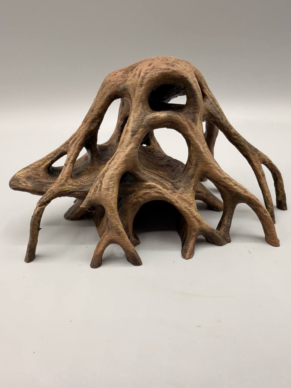 Wide Mangrove Root — licensed source view 2; supplied unpainted in chosen filament colour