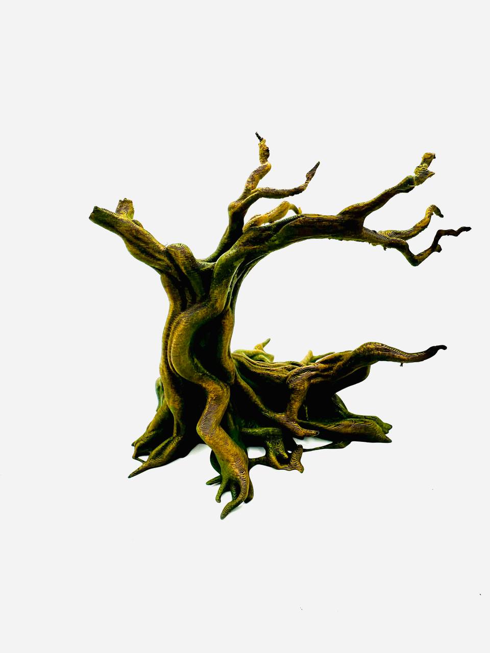 Windy Old Tree | Twisted Roots & Windswept Branches Secondary image