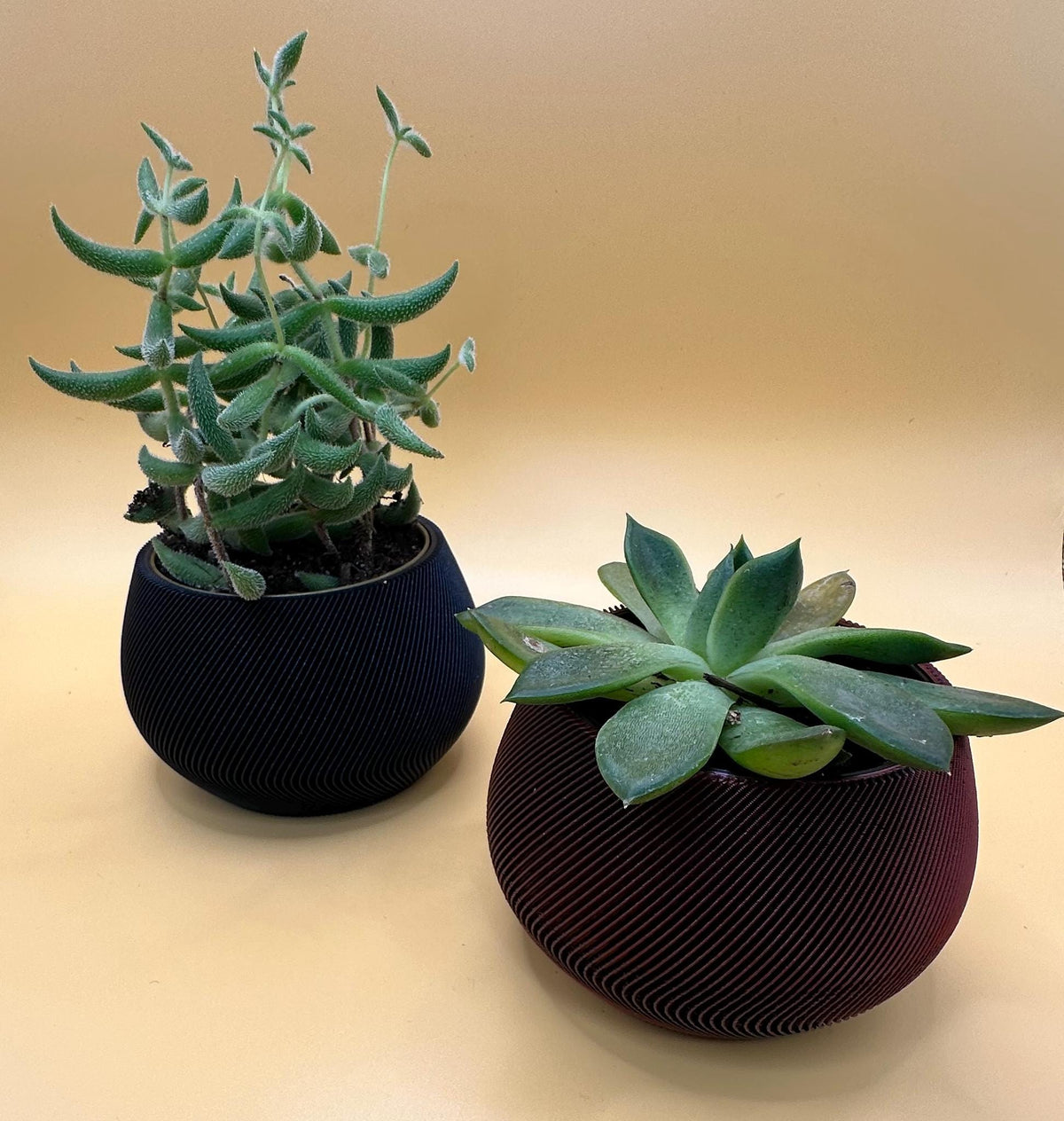 ZenFlow Self-Watering Planter, 3D printed in PLA, view 5 of 14