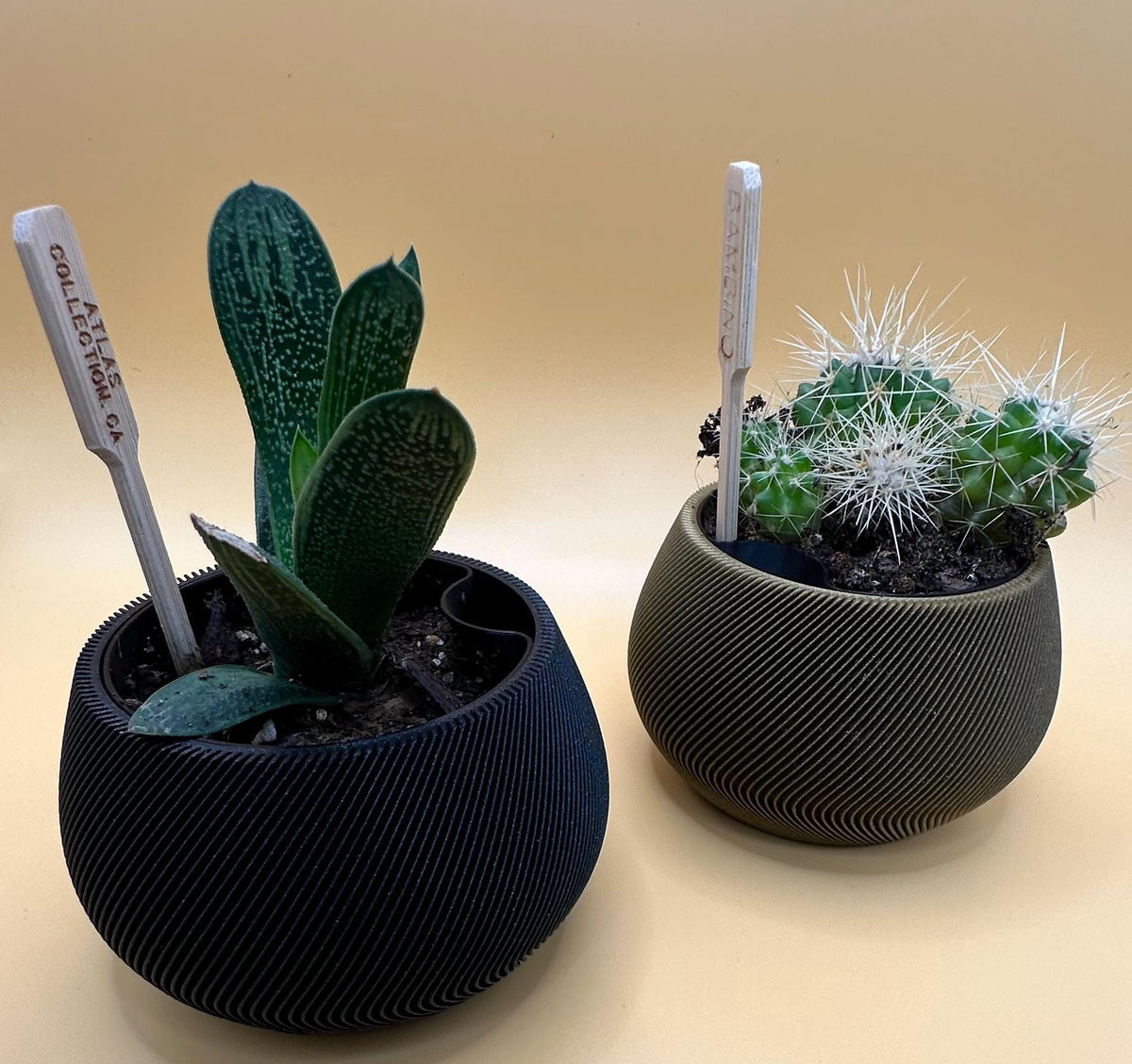 ZenFlow Self-Watering Planter, 3D printed in PLA, view 6 of 14