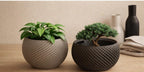 Sfera Self-Watering Planter, Collection 1, 3D printed in PLA
