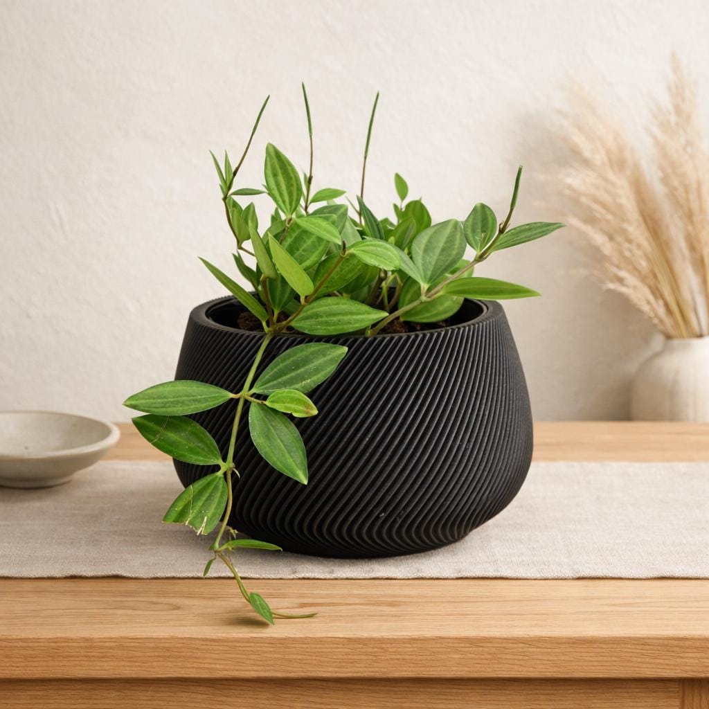 ZenFlow Self-Watering Planter, 3D printed in PLA, view 2 of 14 Main image