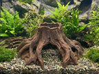 Root Tree Stump Cave Hide, 3D printed in PETG, view 2 of 7