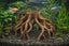Mangrove Root Cave Hide, 3D printed in PETG, for reptiles, amphibians and fish