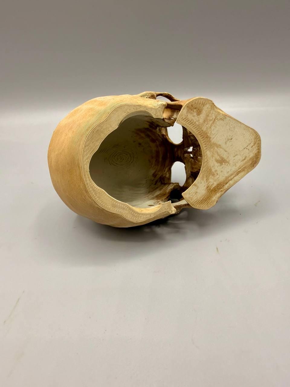 Skull Hideaway, 3D printed in PETG, view 6 of 6