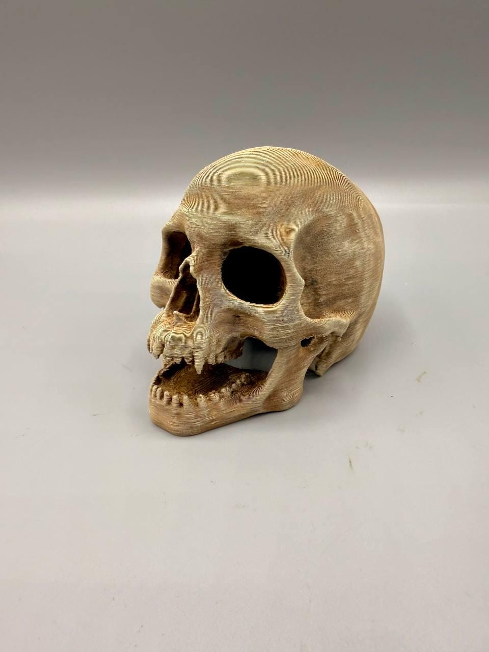 Skull Hideaway, 3D printed in PETG, view 3 of 6