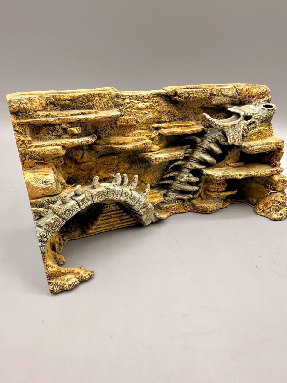 Dragon Fossil 3D Background, 3D printed in PETG, view 6 of 7