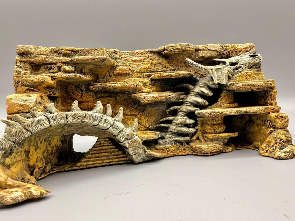 Dragon Fossil 3D Background, 3D printed in PETG, view 5 of 7
