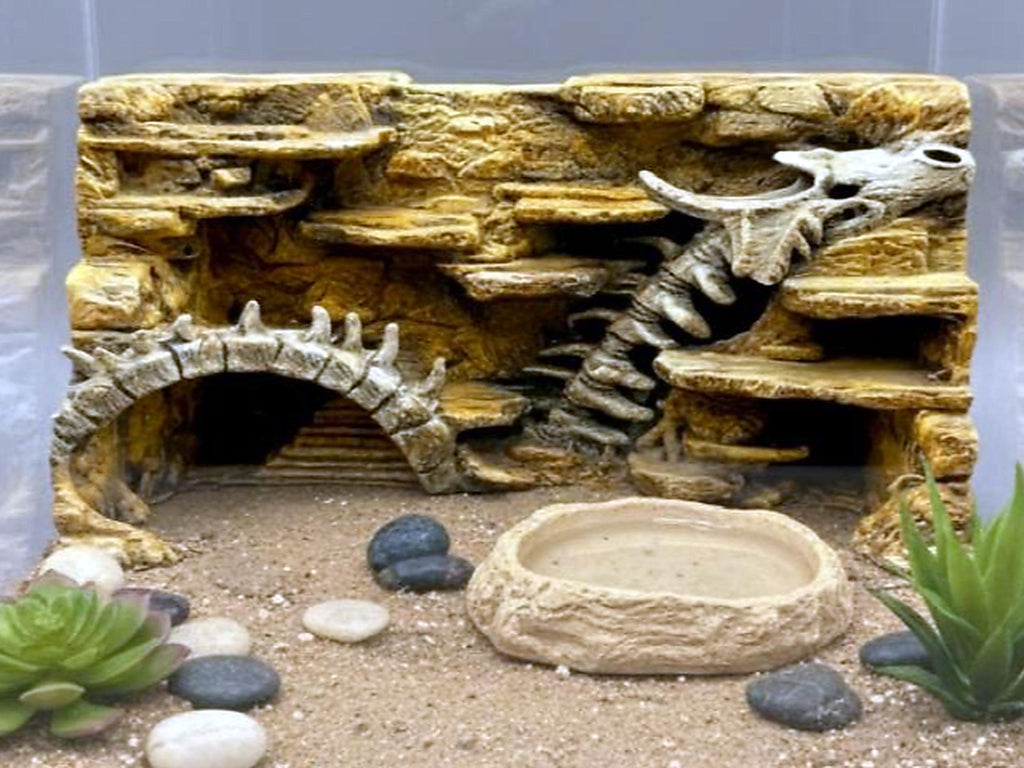 Dragon Fossil 3D Background, 3D printed in PETG, for terrariums, vivariums and aquariums