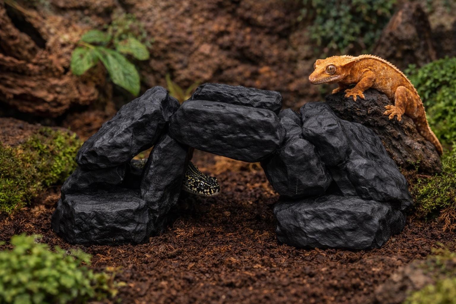 Stone Arch Boulder Bridge Hide | Aquarium, Vivarium and Terrarium Decor Secondary image