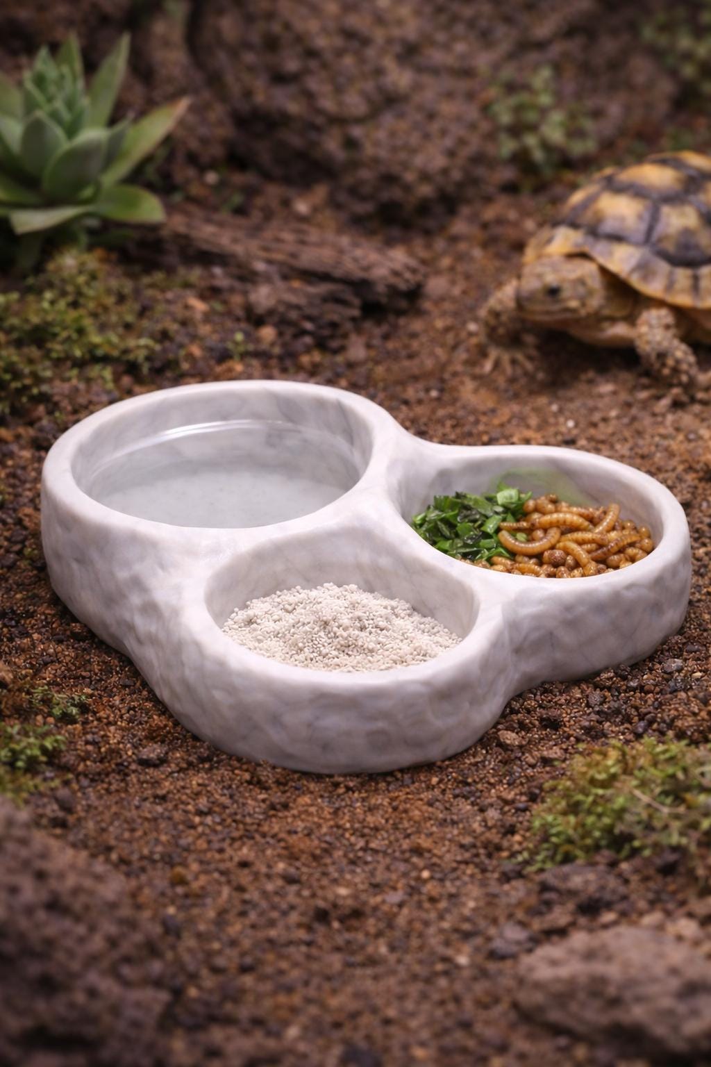 Rock Triple Feeder Bowl, 3D printed in PETG, view 6 of 7
