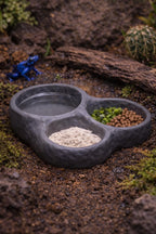 Rock Triple Feeder Bowl, 3D printed in PETG, view 4 of 7