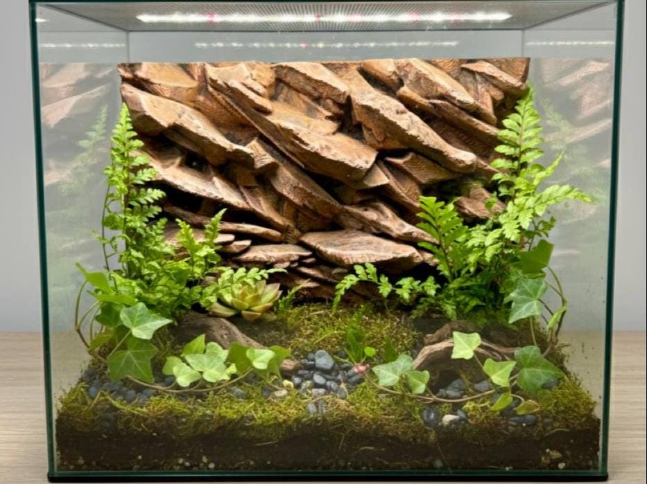 Rock Cliffs 3D Background, Large, 3D printed in PETG, for terrariums, vivariums and aquariums