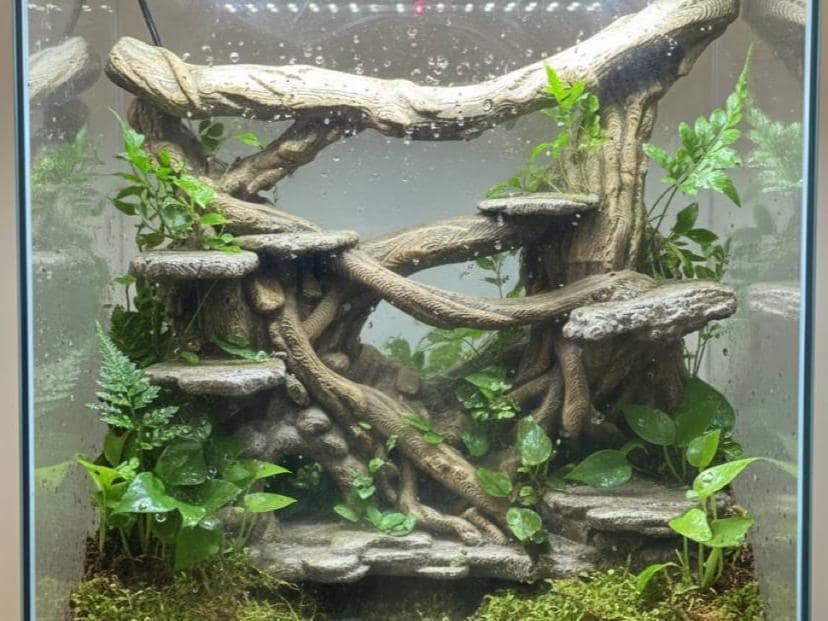 Undergrowth 3D Background, Large, 3D printed in PETG, for terrariums, vivariums and aquariums