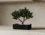 Suiban Self-Watering Bonsai Planter, 3D printed in PLA, view 2 of 6