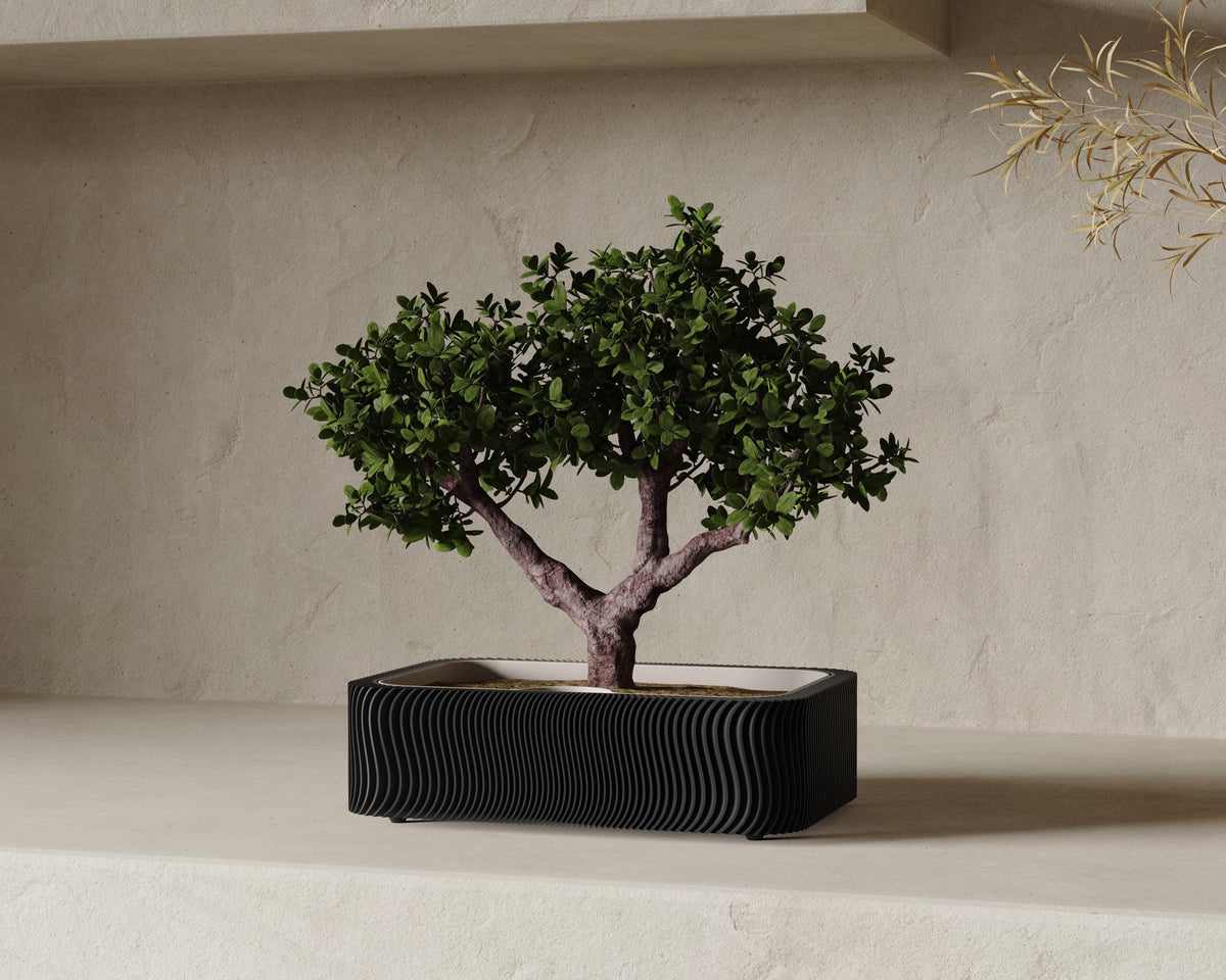 Suiban Self-Watering Bonsai Planter, 3D printed in PLA, view 2 of 6