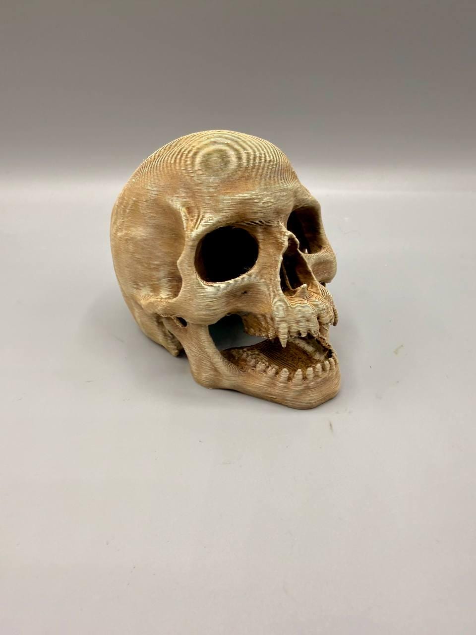Skull Hideaway, 3D printed in PETG, view 4 of 6