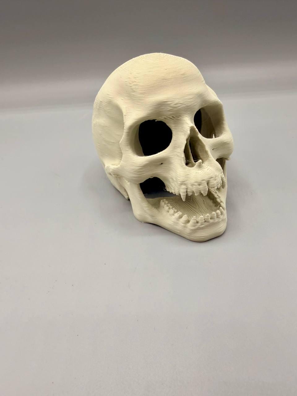 Skull Hideaway, 3D printed in PETG, view 2 of 6