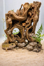 Stranger Roots 3D Background, 3D printed in PETG, for terrariums, vivariums and aquariums
