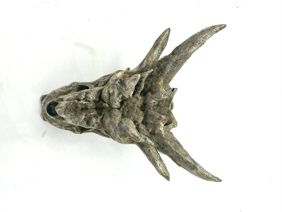 Dragon Skull Hide, 3D printed in PETG, view 4 of 5