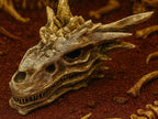 Dragon Skull Hide, 3D printed in PETG, for reptiles, amphibians and fish
