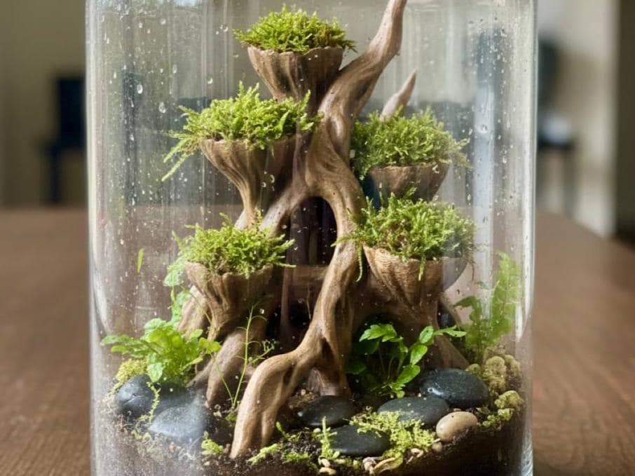 Moss Root Planter, 3D printed in PETG