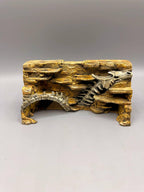 Dragon Fossil 3D Background, 3D printed in PETG, view 4 of 7