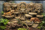 Aztec Ruins II 3D Background, 3D printed in PETG, for terrariums, vivariums and aquariums