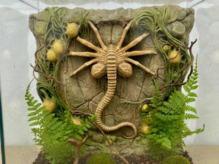 Facehugger 3D Background, 3D printed in PETG, for terrariums, vivariums and aquariums Main image