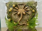 Facehugger 3D Background, 3D printed in PETG, for terrariums, vivariums and aquariums