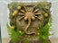 Facehugger 3D Background, 3D printed in PETG, for terrariums, vivariums and aquariums