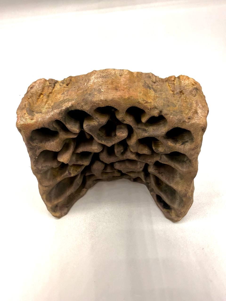 Insect and Spider Nest 3D Background, 3D printed in PETG, view 3 of 7