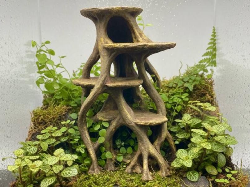 Root Platform, 3D printed in PETG, for terrariums, vivariums and aquariums Main image