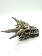 Dragon Skull Hide, 3D printed in PETG, view 3 of 5