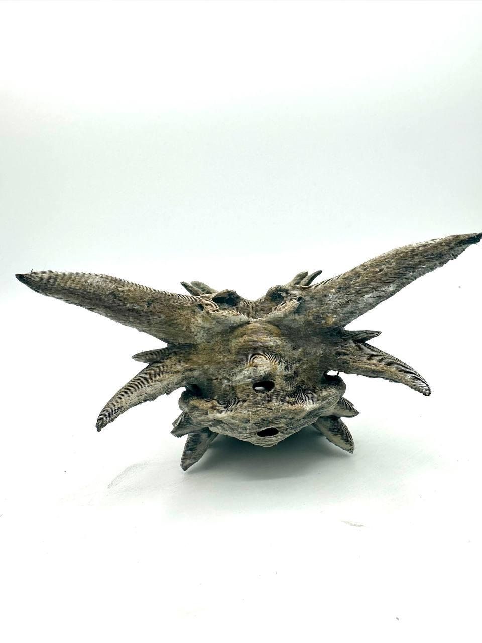 Dragon Skull Hide, 3D printed in PETG, view 5 of 5
