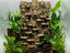 Aztec Ruins III 3D Background, 3D printed in PETG, for terrariums, vivariums and aquariums