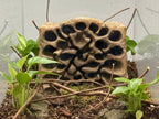 Insect and Spider Nest 3D Background, 3D printed in PETG, for terrariums, vivariums and aquariums