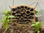 Insect and Spider Nest 3D Background, 3D printed in PETG, for terrariums, vivariums and aquariums