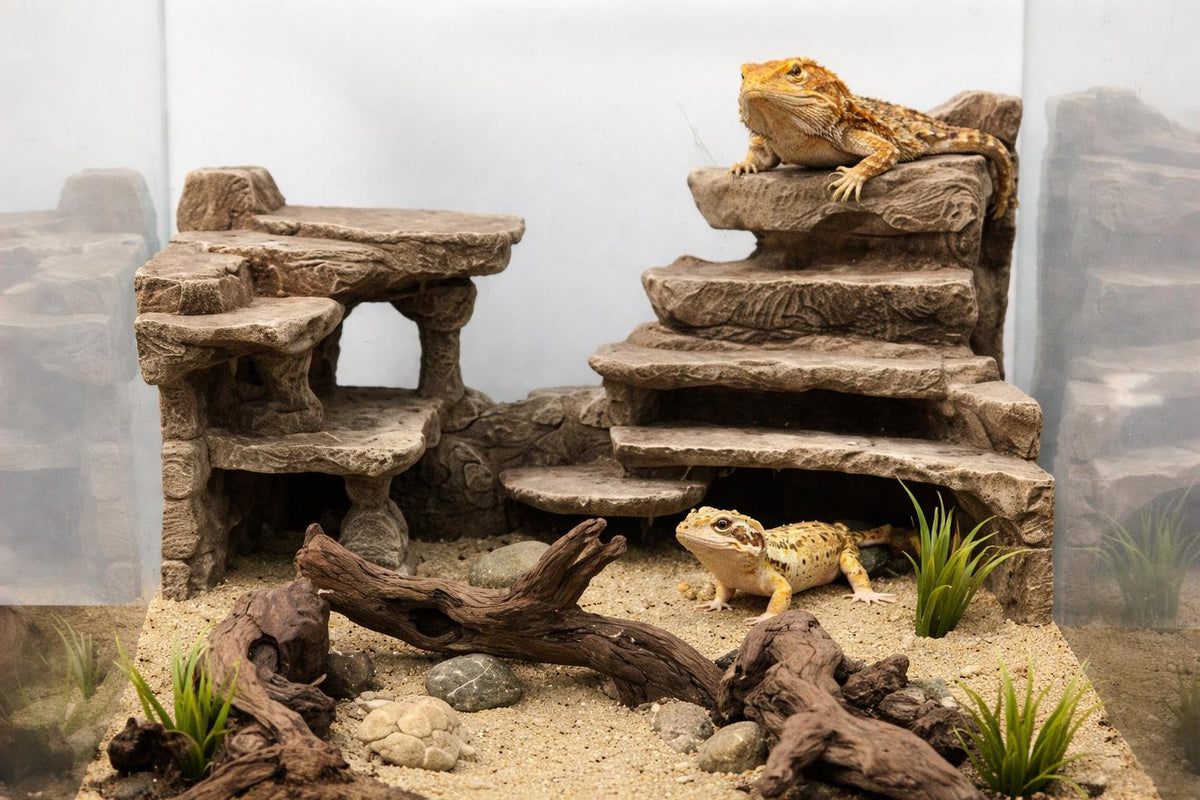 Stone Desert 3D Background, 3D printed in PETG, for terrariums, vivariums and aquariums