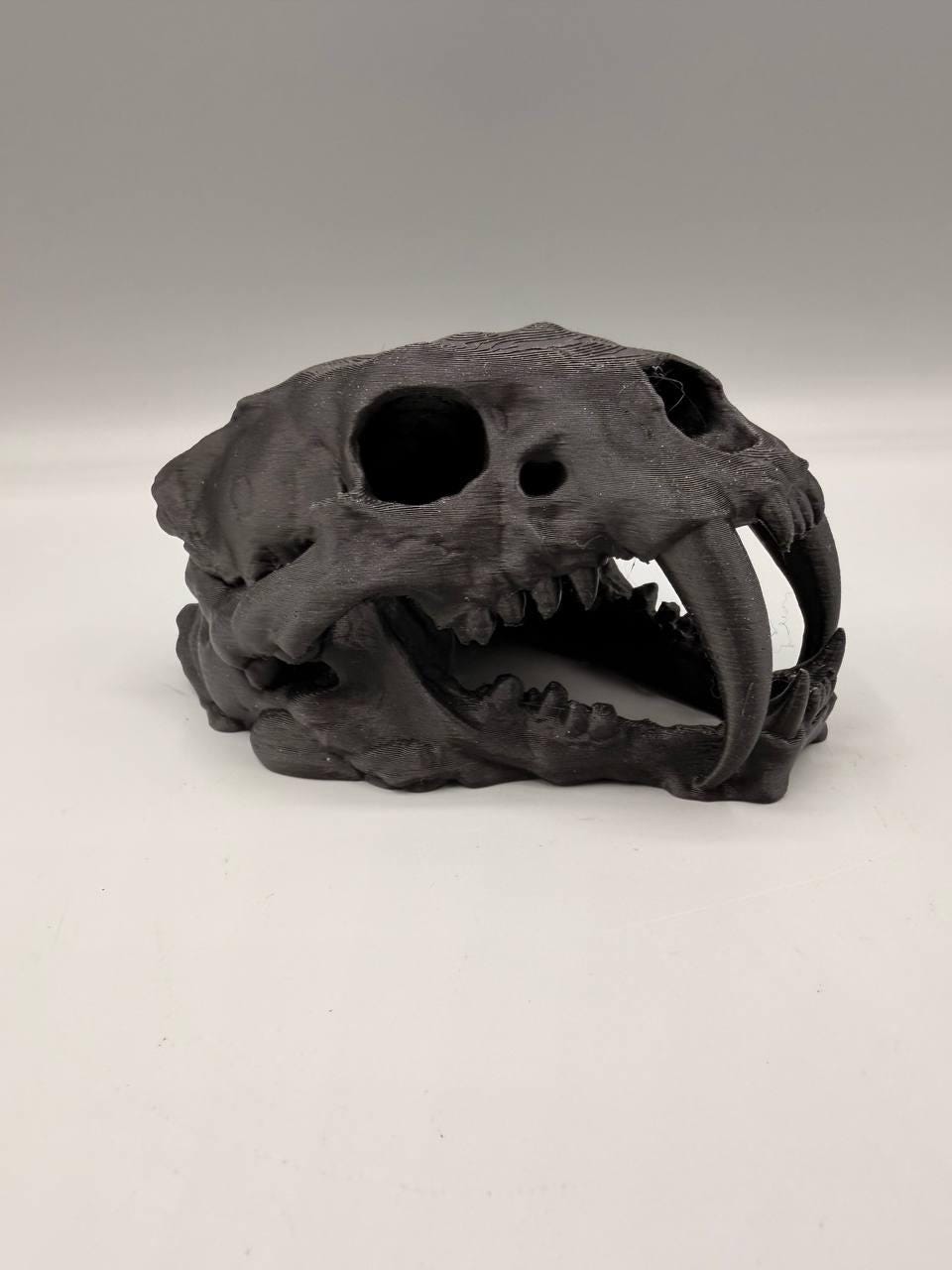 Sabertooth Skull | Aquarium, Vivarium and Terrarium Decor Secondary image